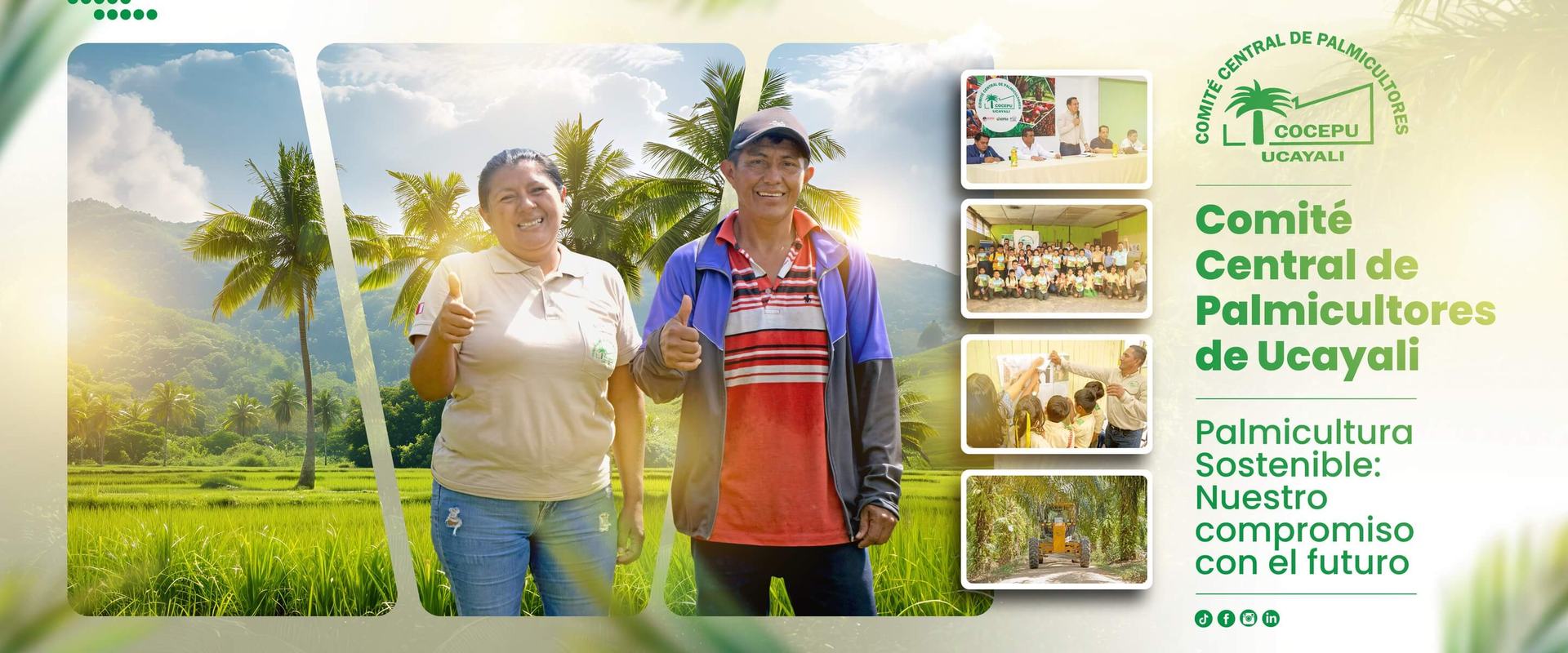 Servicios para nuestros socios